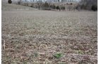 Property photo 14 - ABSOLUTE AUCTION - 298 Acres Offered in 4 Tracts